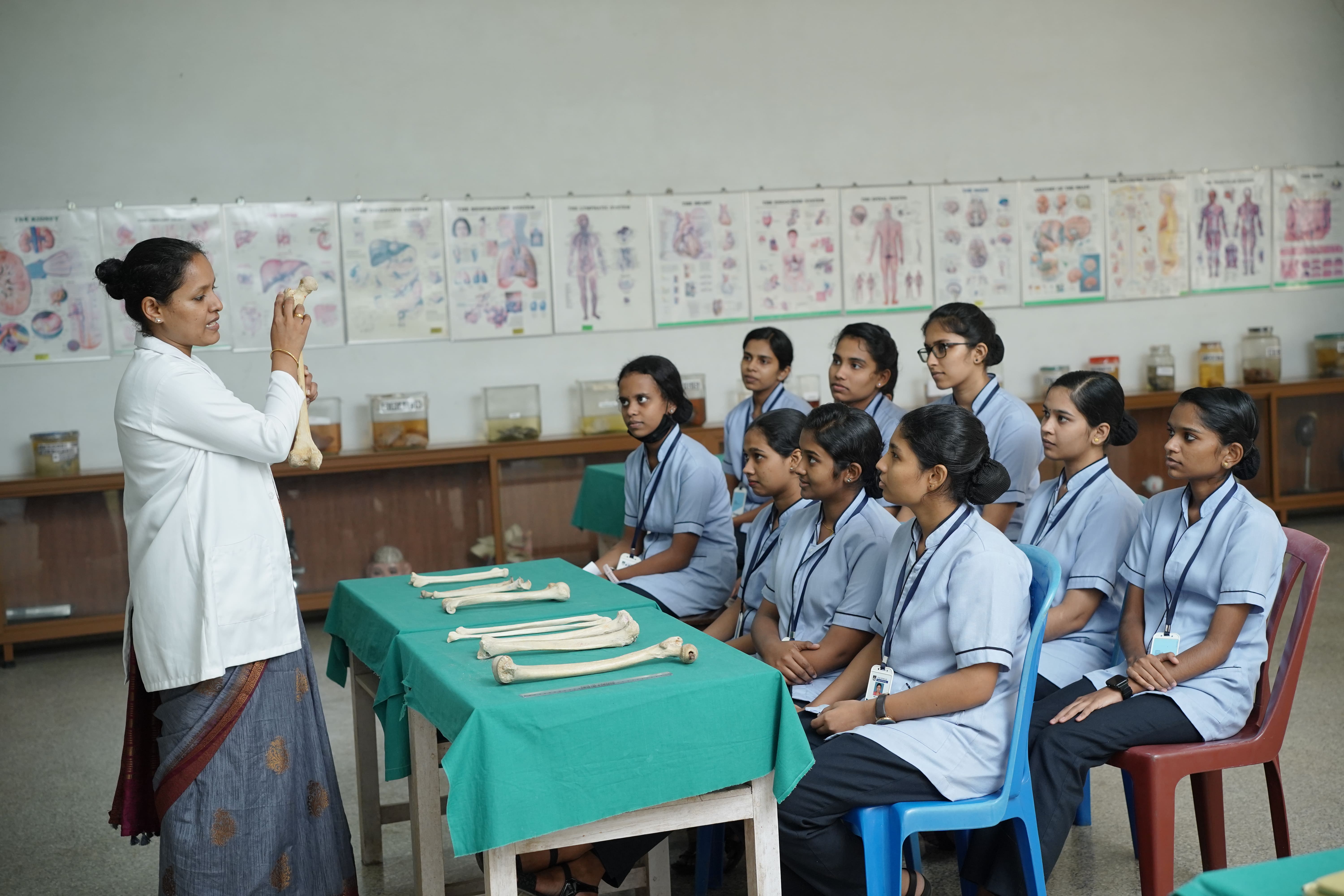 Anatomy Lab